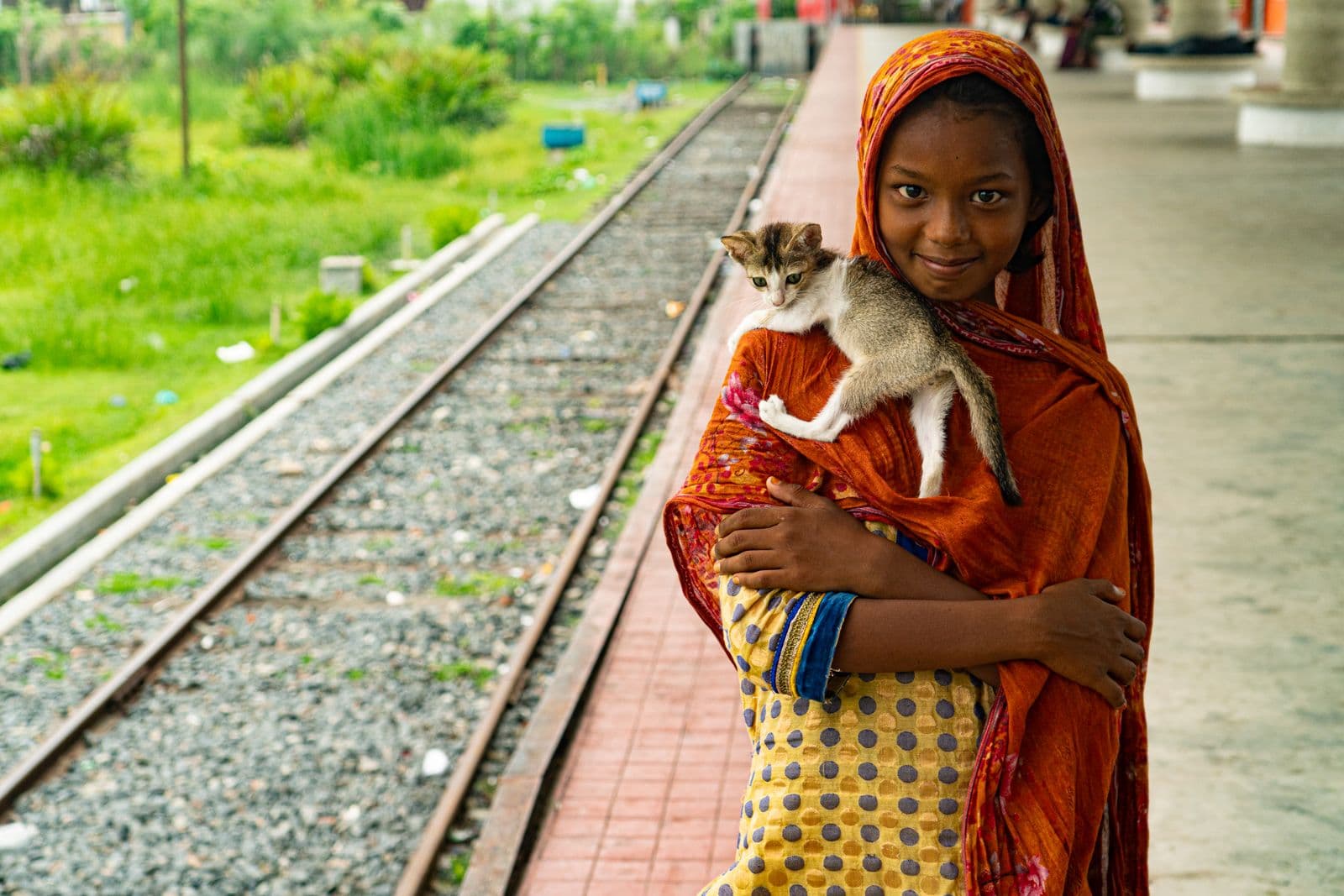 I can look after your cat or dog while you travel — photo 2