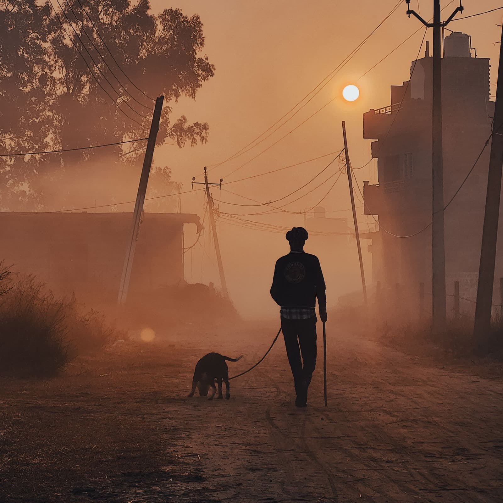 I can walk and feed your dog while you're at work — photo 2