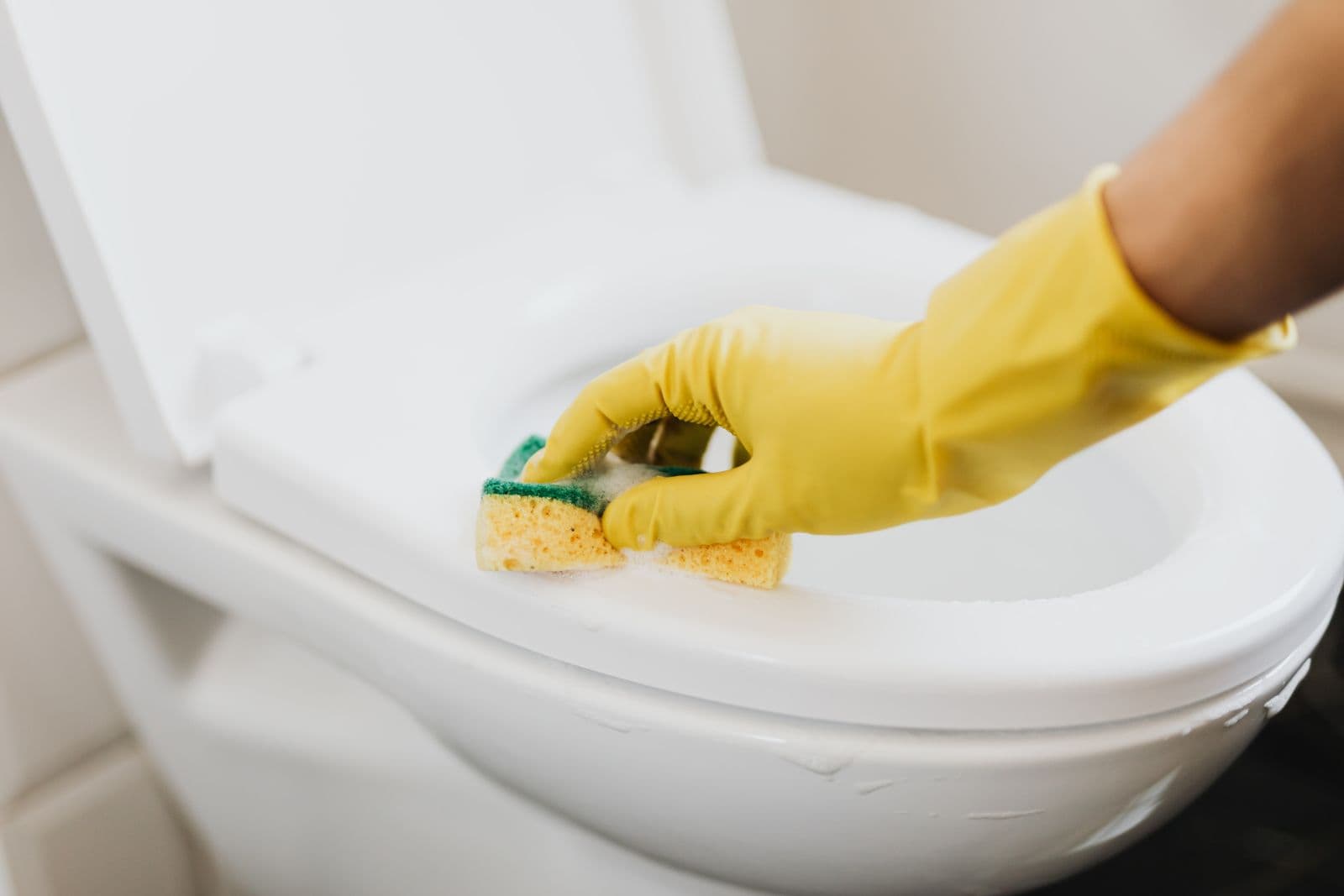 I can deep clean and descale your bathroom — photo 2